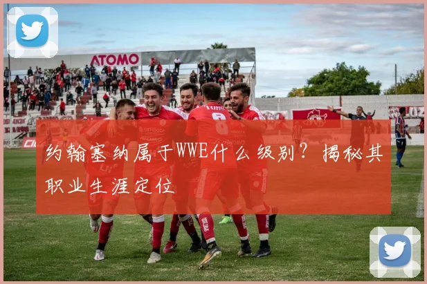 约翰塞纳属于WWE什么级别？揭秘其职业生涯定位