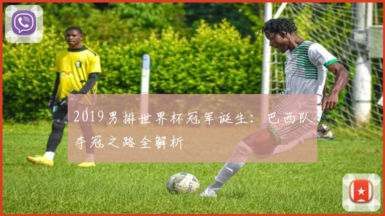 2019男排世界杯冠军诞生：巴西队夺冠之路全解析