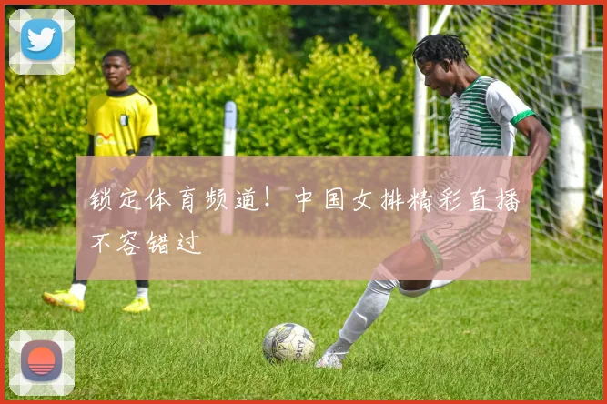锁定体育频道！中国女排精彩直播不容错过