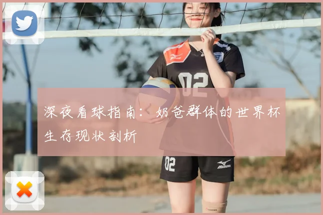 深夜看球指南：奶爸群体的世界杯生存现状剖析